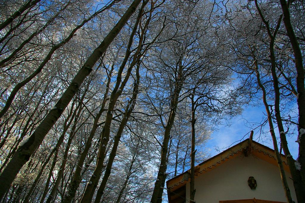 Familia Piatti B&B - Suites Ushuaia Eksteriør billede